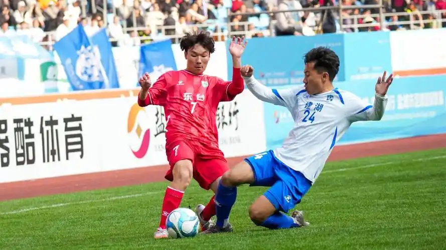 非洲杯：尼日利亚 VS 塞内加尔